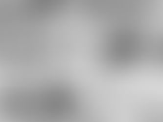 Alaura and Dustin's Wedding