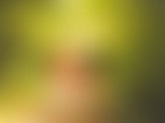 A Proposal in the Park