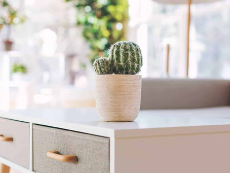 HANDY RECOMMENDATIONS FOR BEAUTIFY YOUR HOME’S INTERIOR