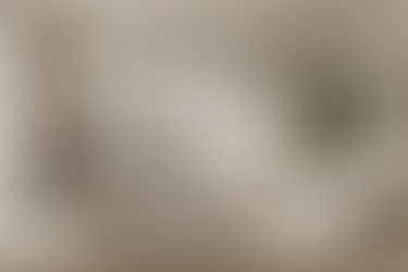 Creating Timeless Interiors for Ghodbunder Road Living