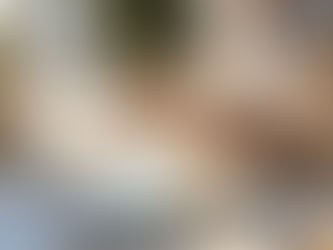 Challenging Windows: Essential Do's and Don'ts for Window Treatments