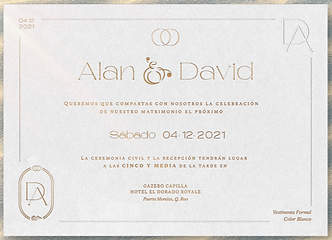 Boda de Alan y David