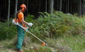 rocadeira_stihl_florestal_2