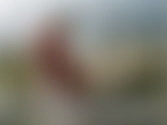 2026年1月25日 礼拝「主イエスは良い羊飼い」ヨハネ10:7~18