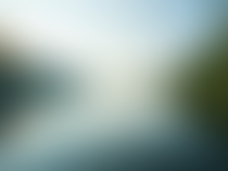 The Importance of Mindfulness in Everyday Life