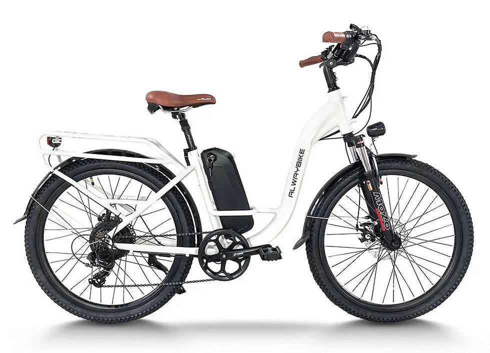 cemoto-ebike-eb40-city-commuter-e-bikes-2003740.jpg