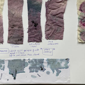 New Year - How about a new Sustainable Practice Resolution?