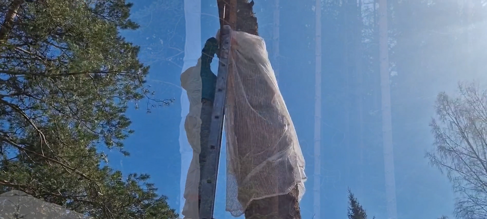 Student Collaboration: E.A. Tofte & John Burns