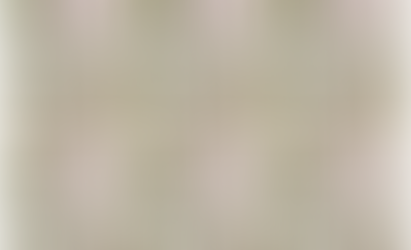 OCASA's Summer of Sustainability - Looking ahead.