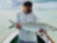 Grand Bahama Bonefishing | Firefly Bonefishing
