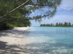 Copy of image_6483441 (32)