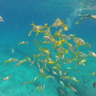 Perfect Day at CocoCay Bahamas Photo