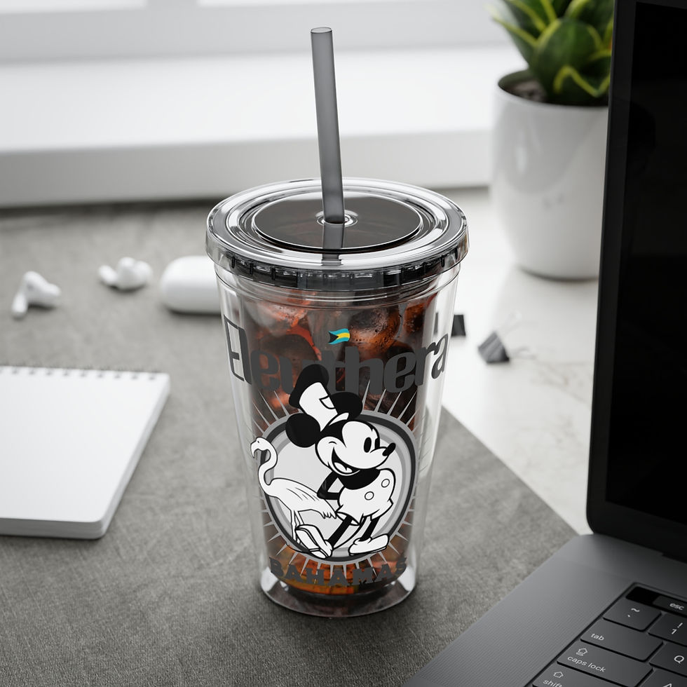 Thumbnail: Bahamas Souvenir Gift : Eleuthera Bahamas Tumbler With Straw