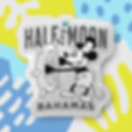 Thumbnail: Bahamas Souvenir Gift : Half Moon Cay Bahamas Cruise Bahamas Pillow