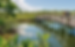 Things To Do In Freeport Bahamas