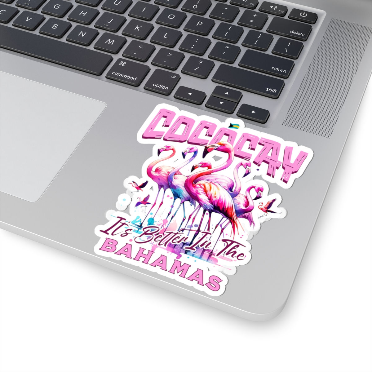 Bahamas Souvenir Gift : CocoCay Bahamas Flamingo Bahamas Sticker
