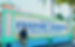 Things To Do In Freeport Bahamas