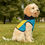 Thumbnail: Bahamas Flag : Bahamas Independence : Bahamas Dog Clothes Cat Pet Hoodie