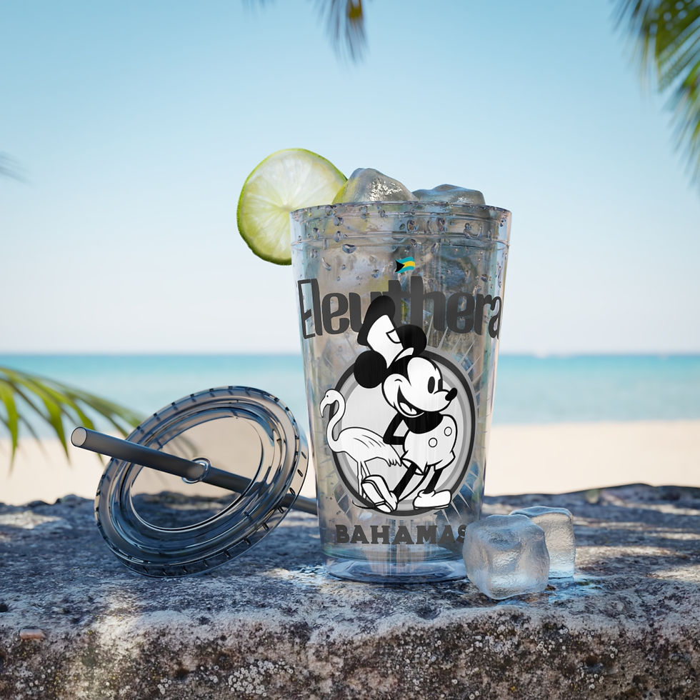 Thumbnail: Bahamas Souvenir Gift : Eleuthera Bahamas Tumbler With Straw