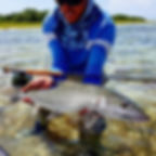 Grand Bahama Bonefishing | Firefly Bonefishing