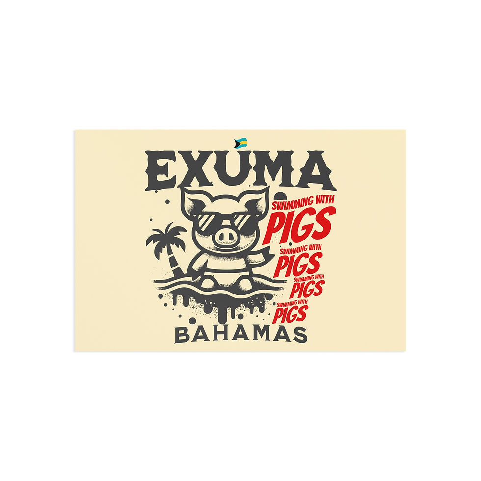 Thumbnail: Bahamas Postcard : Exuma Bahamas Swimming Pigs : Bahamas Souvenir Gift