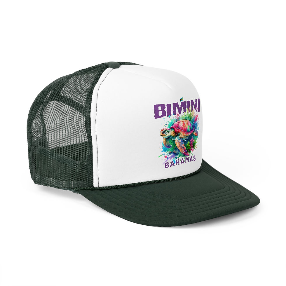 Thumbnail: Bahamas Souvenir Gift : Bimini Bahamas Sea Turtle Bahamas Hat