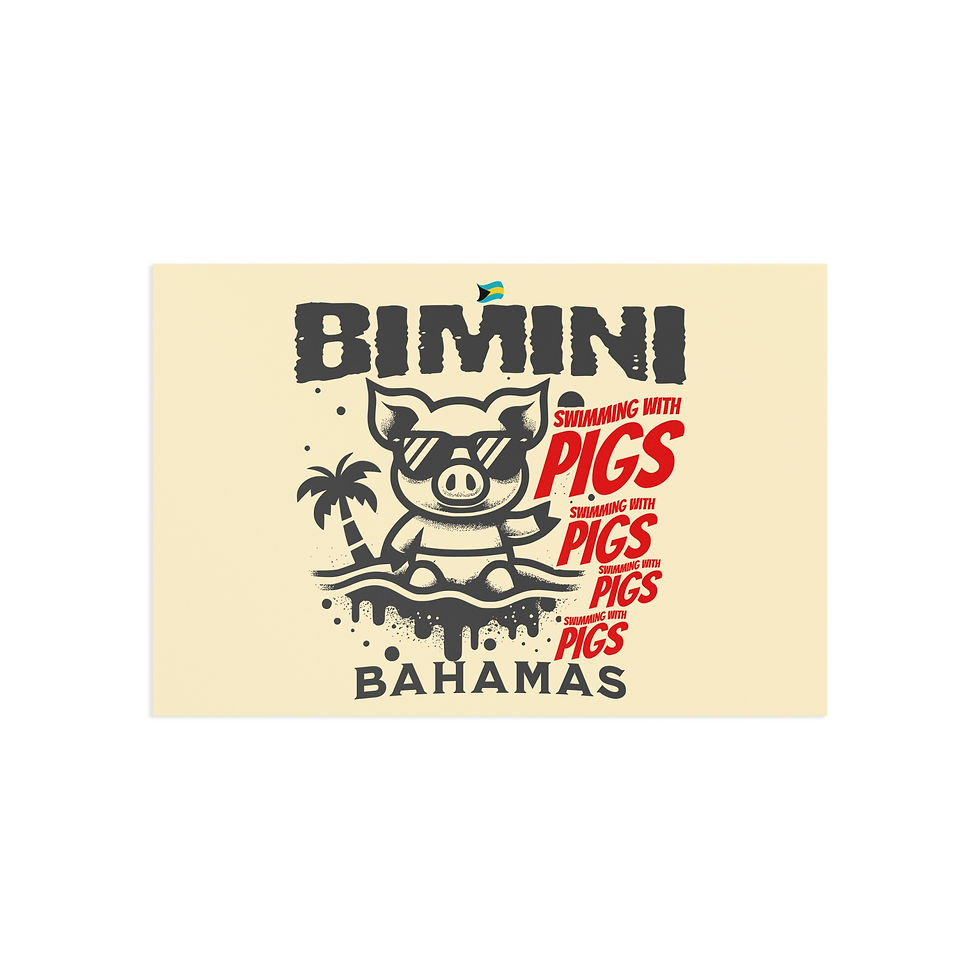 Thumbnail: Bahamas Postcard : Bimini Bahamas Swimming Pigs : Bahamas Souvenir Gift