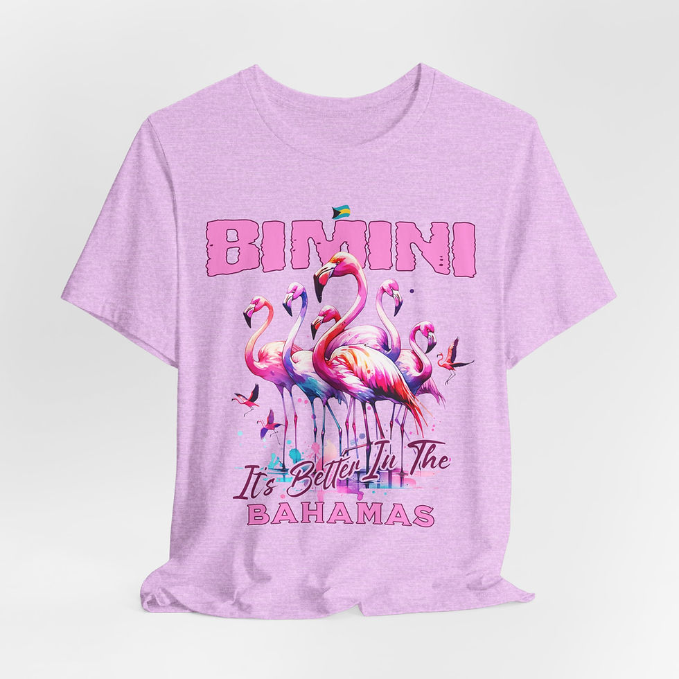 Thumbnail: Bahamas Souvenir Gift : Bimini Bahamas Flamingo Unisex Bahamas Shirt