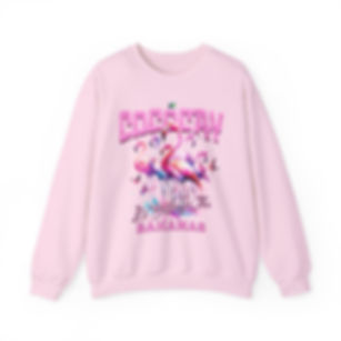 Bahamas Souvenir Gift : CocoCay Bahamas Flamingo Unisex Bahamas Sweatshirt