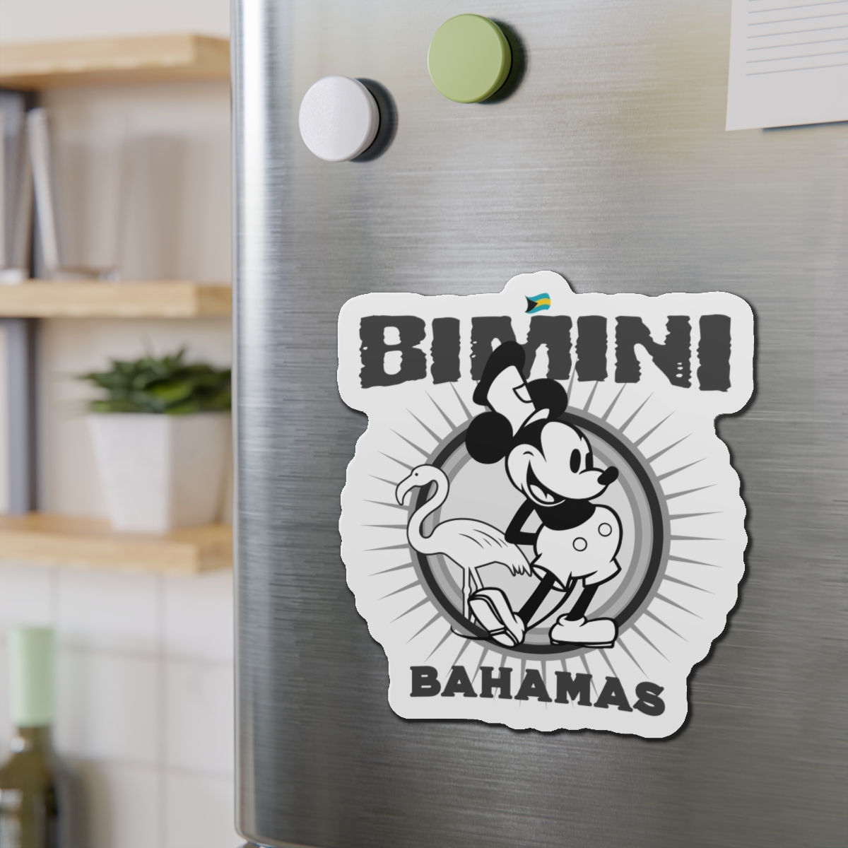 Bahamas Souvenir Gift : Bimini Bahamas Magnet