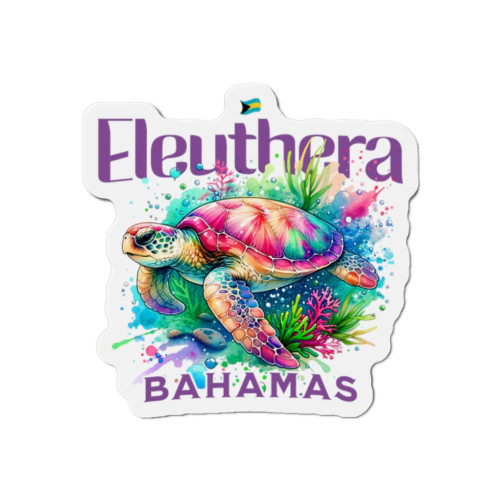 Thumbnail: Bahamas Souvenir Gift : Eleuthera Bahamas Sea Turtle Bahamas Magnet