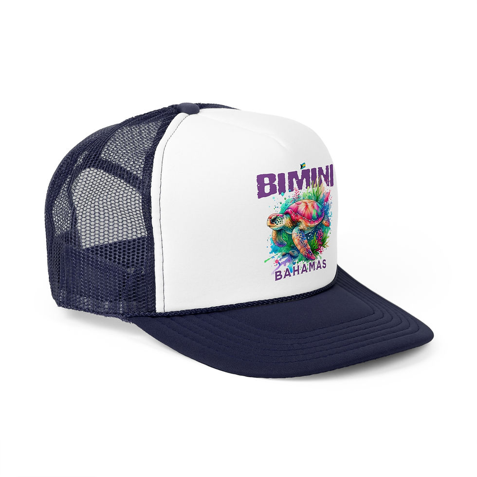 Thumbnail: Bahamas Souvenir Gift : Bimini Bahamas Sea Turtle Bahamas Hat