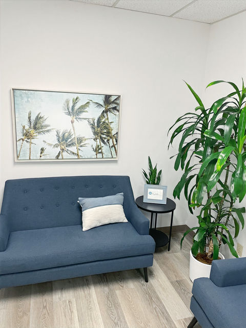 Interior view of La Jolla Therapy Center office, showing a calm, welcoming, and professionally designed therapy space.