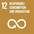 sdgs2.PNG