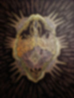 Amygdala in Exaltation