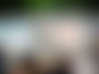 Wanted: "Plan económico de estabilización"