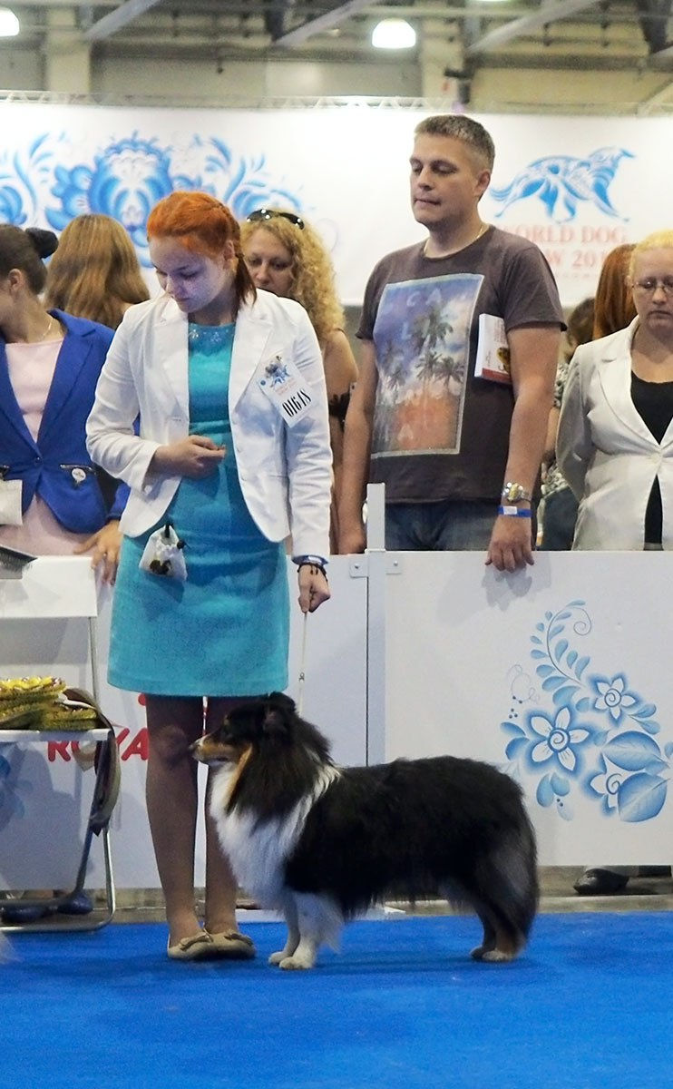 Светлые Истоки Рок-Н-Ролл