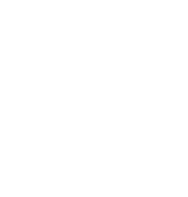 logo no bg.png