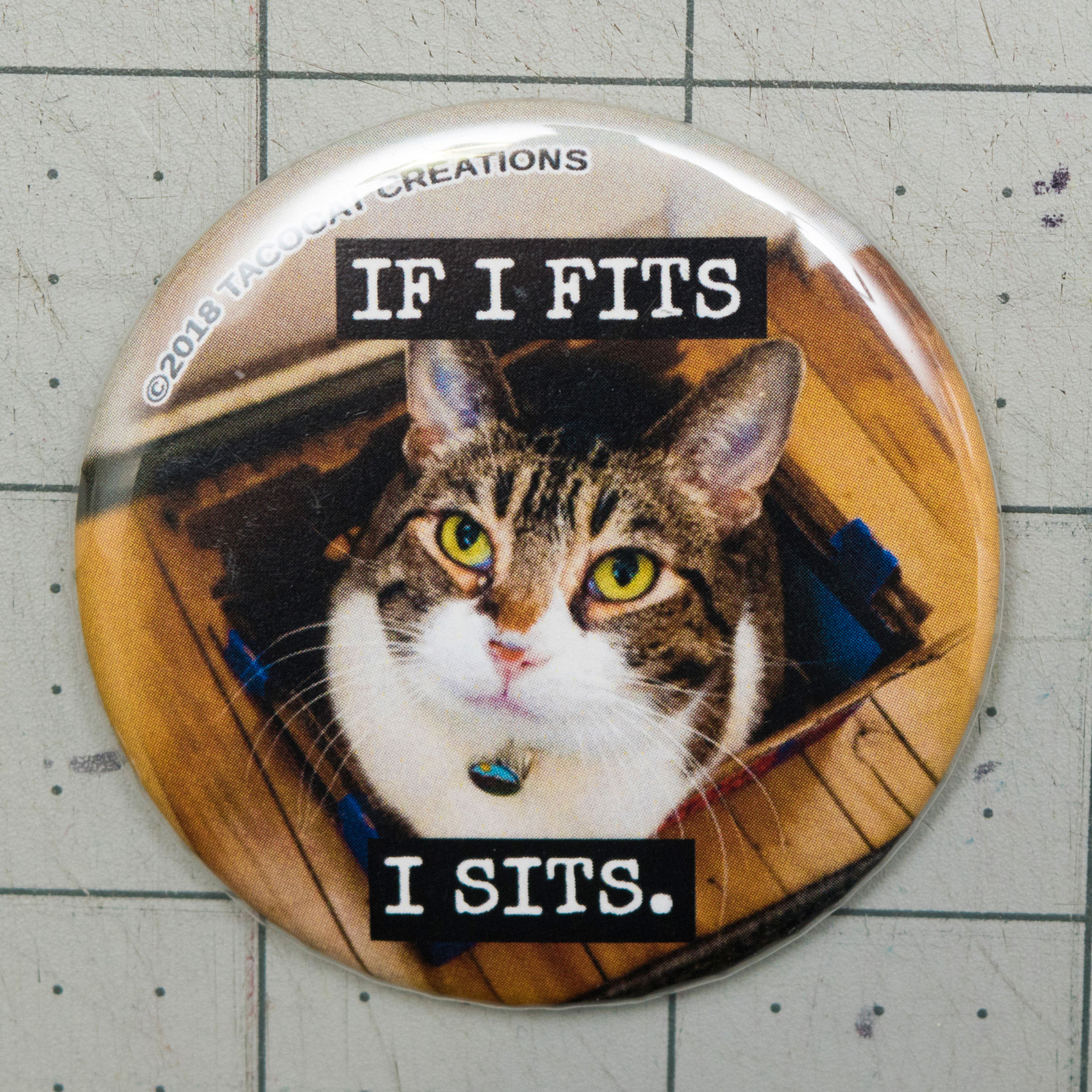 If I Fits I Sits Buttons and Magnets