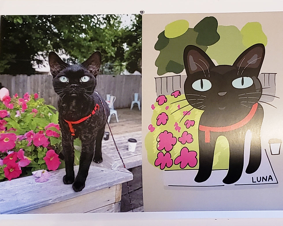 Thumbnail: Cats of Madison 2026 Calendar by Jason Nolen and Stefan Matioc
