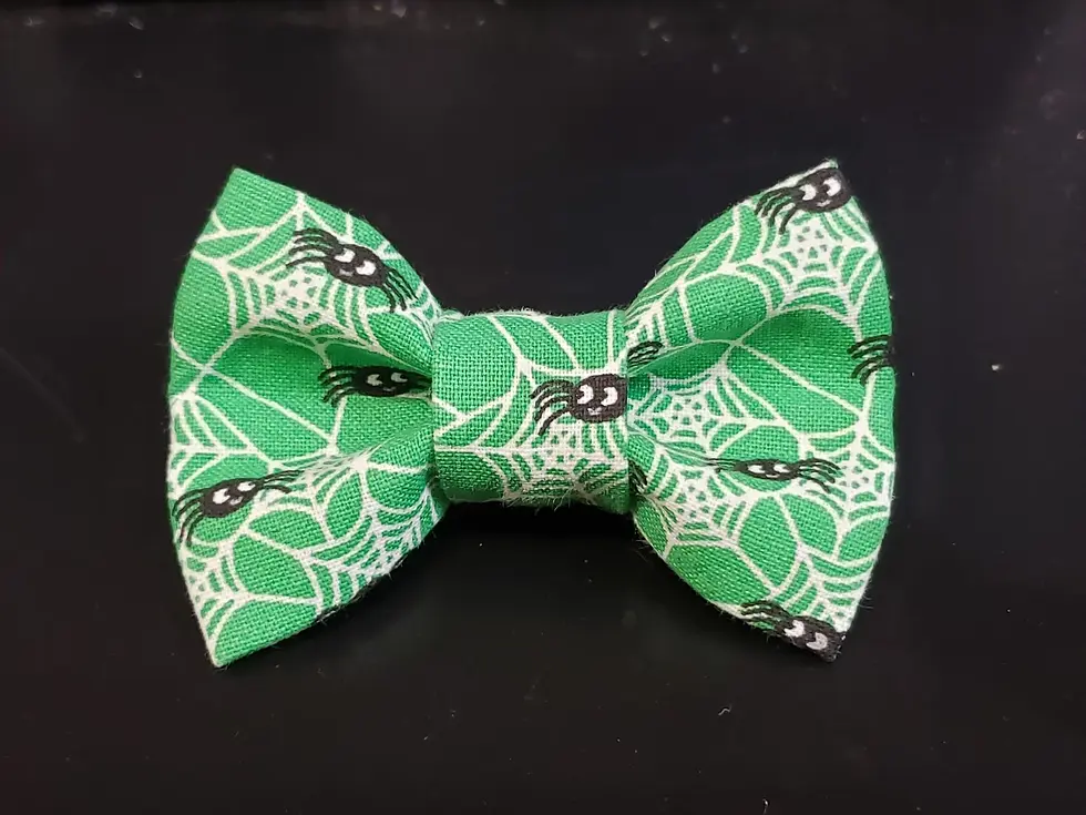Spiders and Webs on Green Pattern Dapper Cat Bow Tie