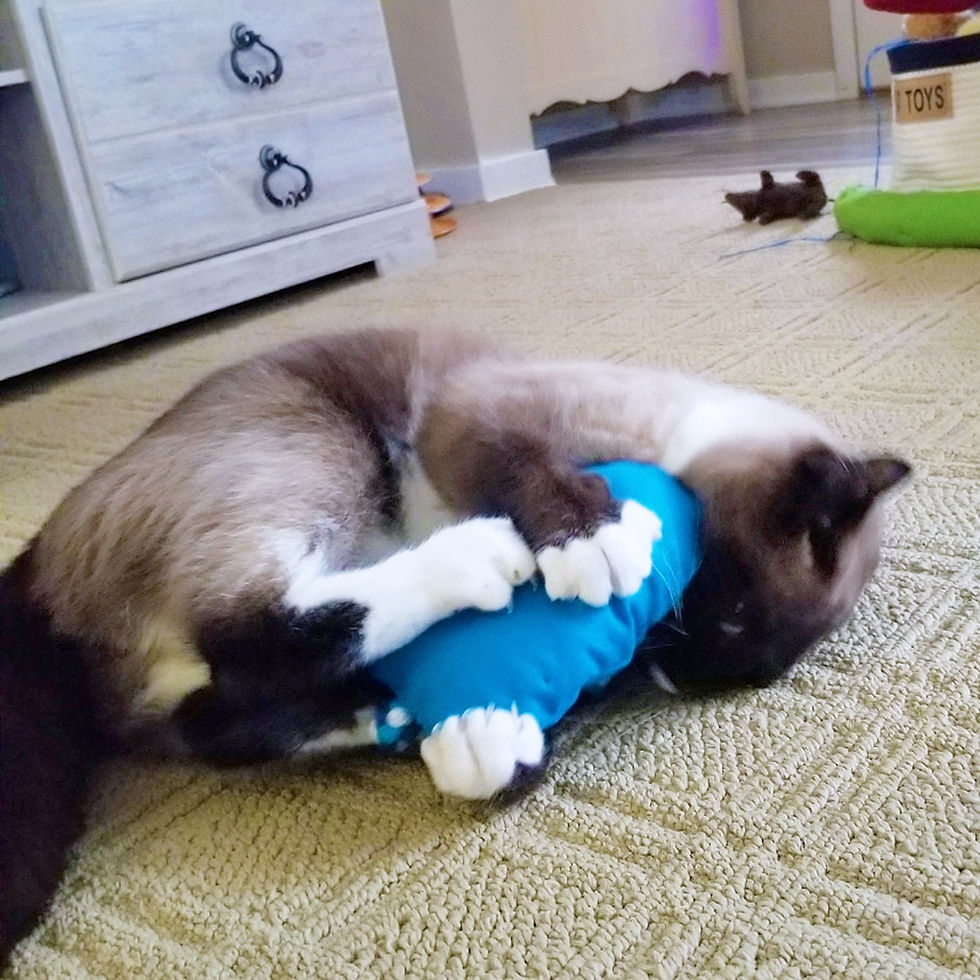 Thumbnail: RuffRats BLUE Catnip Stuffed Canvas Cat Toy
