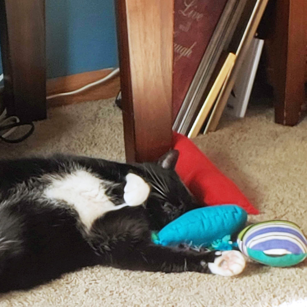 Thumbnail: RuffRats RED Catnip Stuffed Canvas Cat Toy