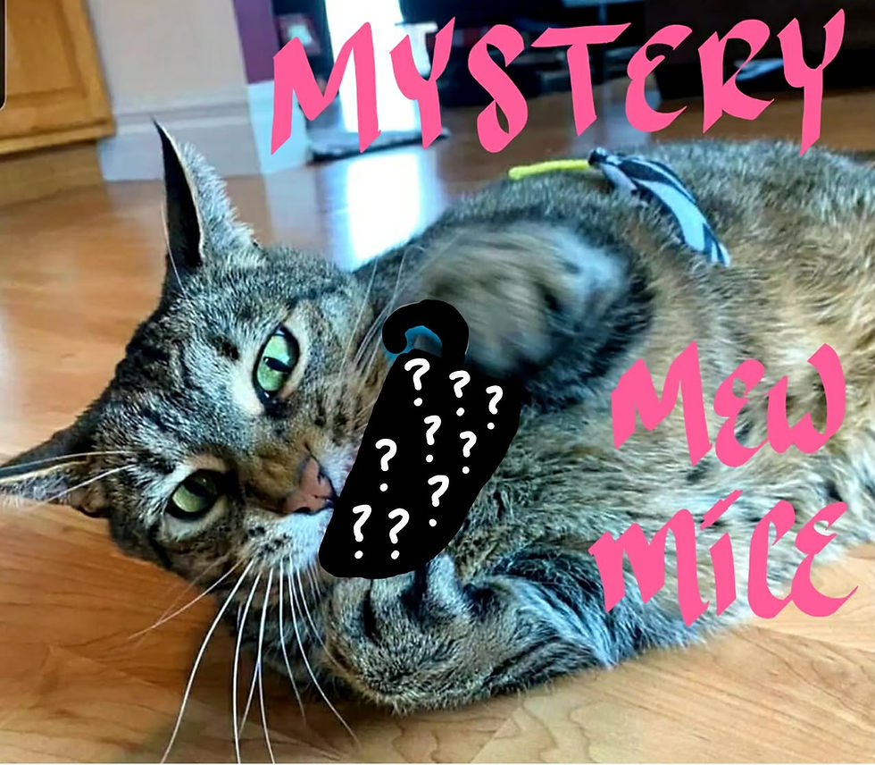 Thumbnail: MYSTERY Mew Mice! 2 for $5