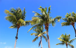 Florida Keys