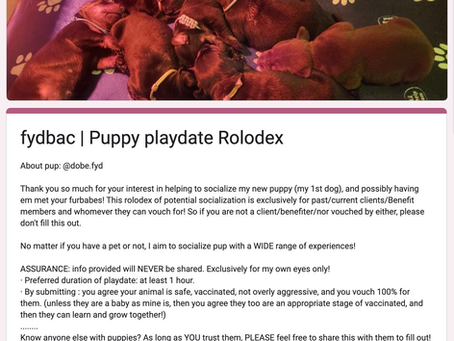 Puppy news #1: Playdate Rolodex form!