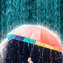 rain or shine.png