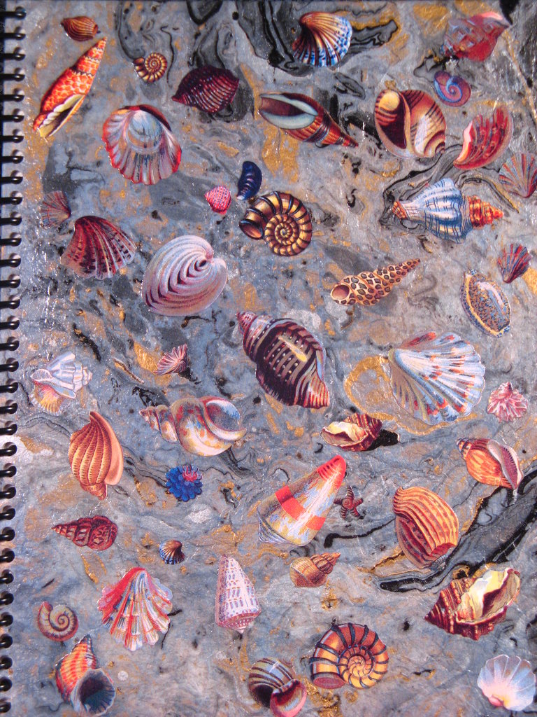 shell collage