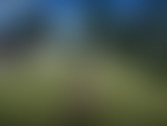 Update 4a - UI mini progress update