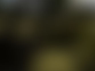 Pre-Update 11- Devlog 3 - Taking a bit longer